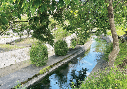 三津川河川公園