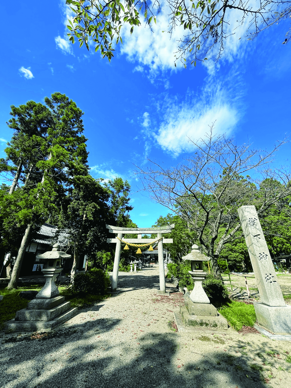 樹下神社