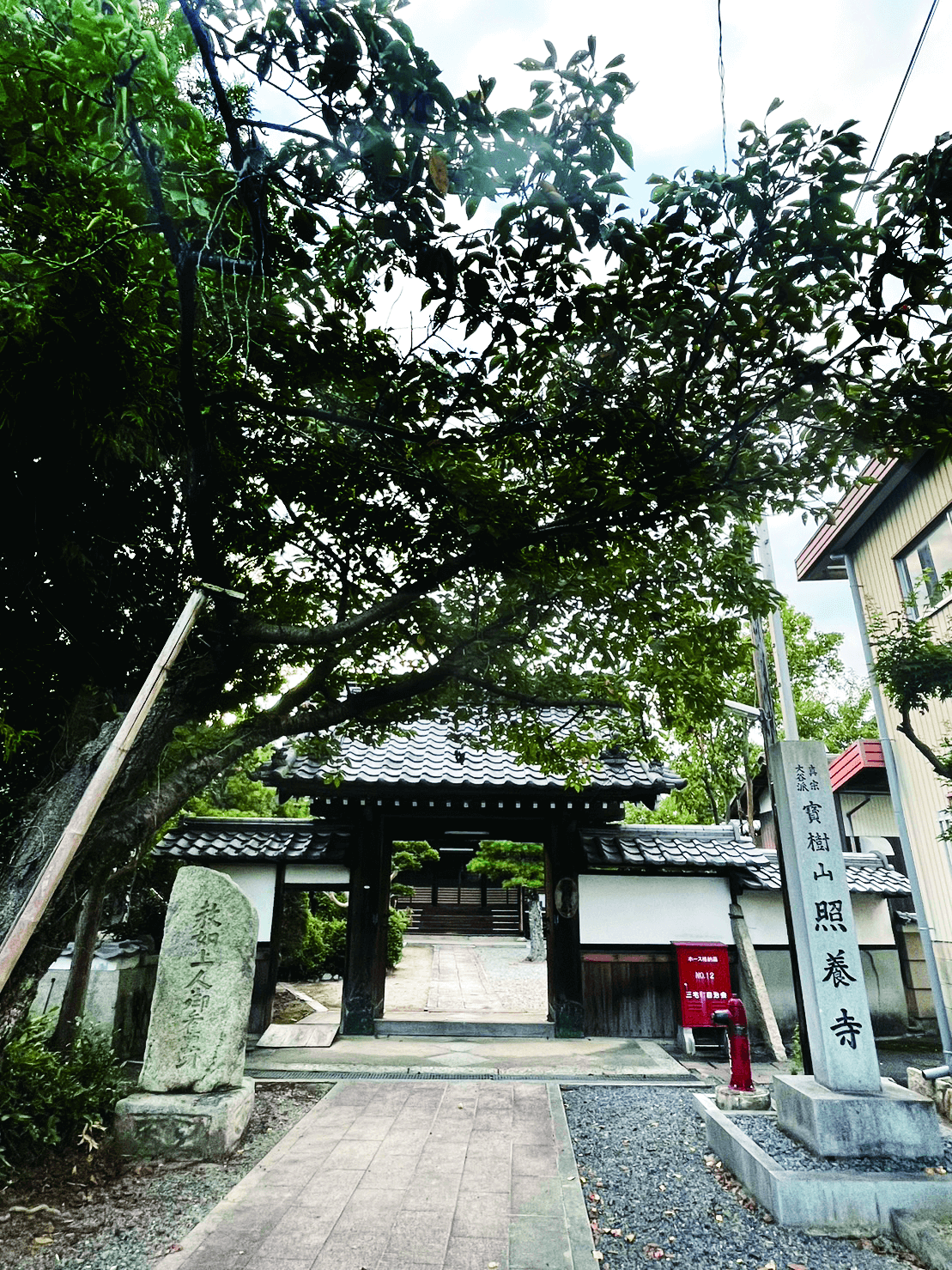 照養寺